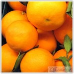 Naranjas