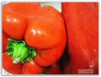 Pimiento_Rojo