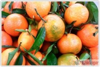 mandarina