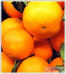 Naranjas