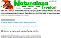 naturaleza-tropical