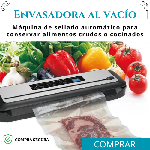 Envasadora al vacio domestica para conservar alimentos