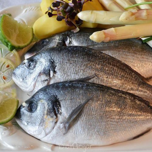 envasar alimentos al vacio